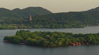 Yavaş çekim: Güzel kelebek çiçeklerin ve gün ışığında otlakların üzerinde uçuyor
