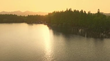 Yavaş çekim: Güzel kelebek çiçeklerin ve gün ışığında otlakların üzerinde uçuyor