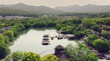 Yavaş çekim: Güzel kelebek çiçeklerin ve gün ışığında otlakların üzerinde uçuyor