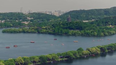 Yavaş çekim: Güzel kelebek çiçeklerin ve gün ışığında otlakların üzerinde uçuyor