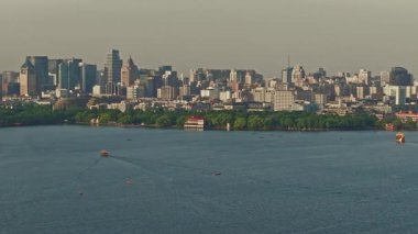 Yavaş çekim: Güzel kelebek çiçeklerin ve gün ışığında otlakların üzerinde uçuyor