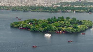 Yavaş çekim: Güzel kelebek çiçeklerin ve gün ışığında otlakların üzerinde uçuyor