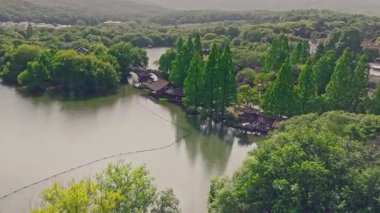Yavaş çekim: Güzel kelebek çiçeklerin ve gün ışığında otlakların üzerinde uçuyor