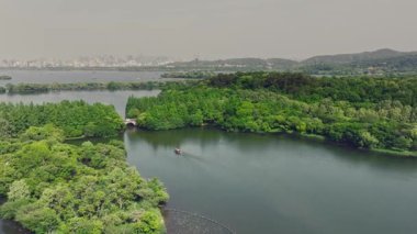 Yavaş çekim: Güzel kelebek çiçeklerin ve gün ışığında otlakların üzerinde uçuyor