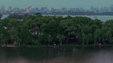 Yavaş çekim: Güzel kelebek çiçeklerin ve gün ışığında otlakların üzerinde uçuyor