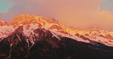 Yavaş çekim: Güzel kelebek çiçeklerin ve gün ışığında otlakların üzerinde uçuyor