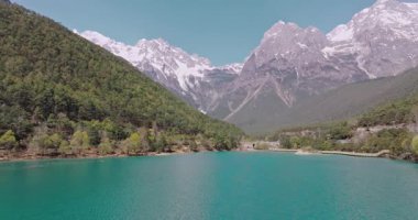 Yavaş çekim: Güzel kelebek çiçeklerin ve gün ışığında otlakların üzerinde uçuyor