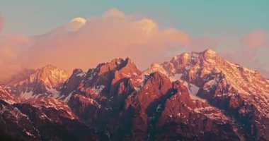 Yavaş çekim: Güzel kelebek çiçeklerin ve gün ışığında otlakların üzerinde uçuyor