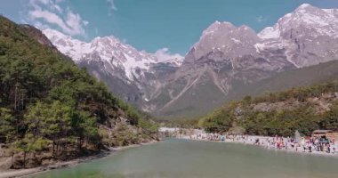 Yavaş çekim: Güzel kelebek çiçeklerin ve gün ışığında otlakların üzerinde uçuyor