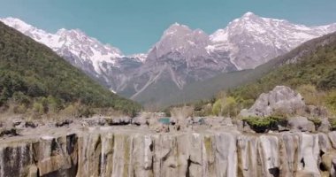 Yavaş çekim: Güzel kelebek çiçeklerin ve gün ışığında otlakların üzerinde uçuyor