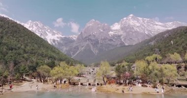 Yavaş çekim: Güzel kelebek çiçeklerin ve gün ışığında otlakların üzerinde uçuyor