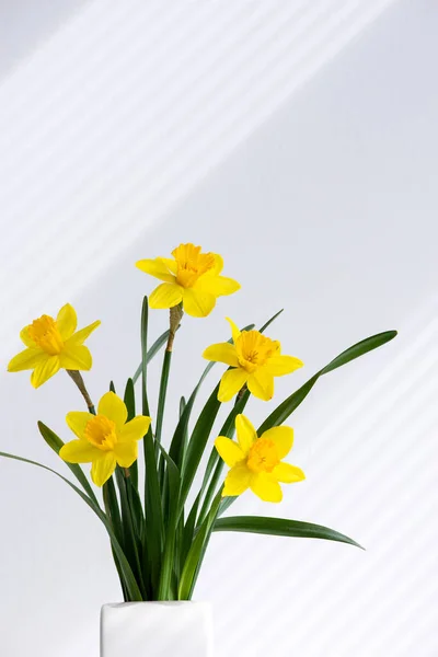 Hallo Frühling Sommer Blumen Hintergrundkonzept Mit Sonnenstrahlen Ostergelber Strauß Blühender — Stockfoto