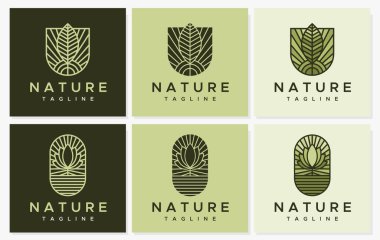 Leaf line logo design template collection. Simple line plant logo design graphic vector bundle.