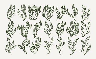 Satır organik yaprak süsleme simgesi logo tasarımı seti
