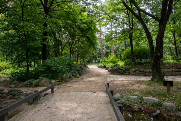 Walking path with tree along the way. Seoul Forest in Seoul, South Korea.