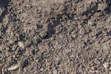 arkaplan için düz toprak dokusu