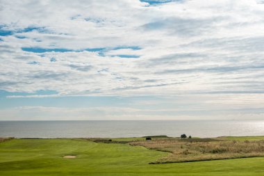 Denizin yanındaki yeşil alanın görünümü