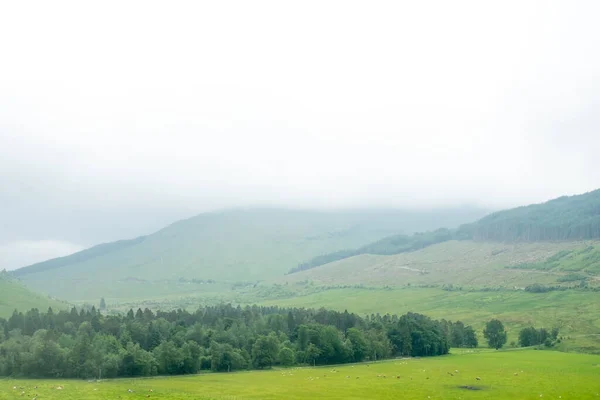 Malerische Landschaft Blick Auf Bergwald Mit Nebel Schottischen Hochland — Stockfoto