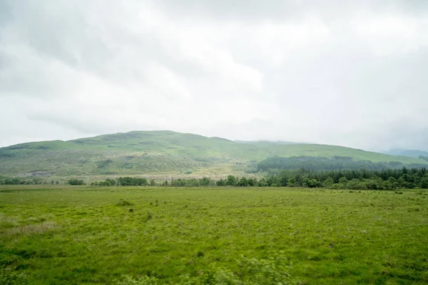 Malowniczy Widok Krajobrazu Górskiego Lasu Mgłą Szkocki Highland — Zdjęcie stockowe