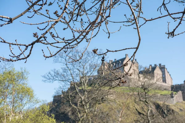 Edinburgh Castle Achter Boomtakken — Stockfoto