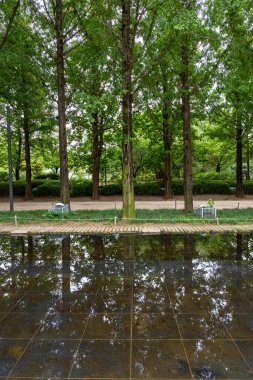 Yansıyan gölet, yol boyunca ağaçlı yürüyüş yolu. Seul 'deki Seul Ormanı, Güney Kore.