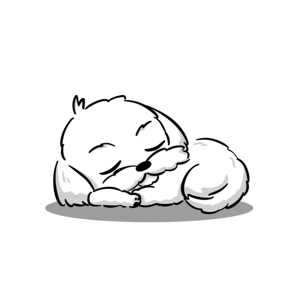 Bonito Maltês Branco Filhote Cachorro Dormindo Deite Cartoon Vector — Vetor de Stock