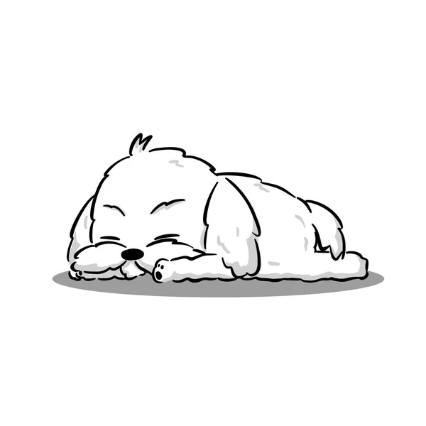 Cute Maltese White Puppy Sleeping Lay Cartoon Vector — Stock Vector