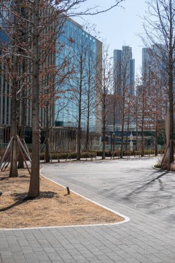 Kış boyunca ağaçla birlikte parkta yürüyüş manzarası