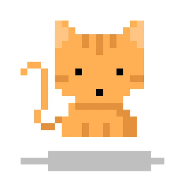ไอคอนแมว กเซล — ภาพเวกเตอร์สต็อก