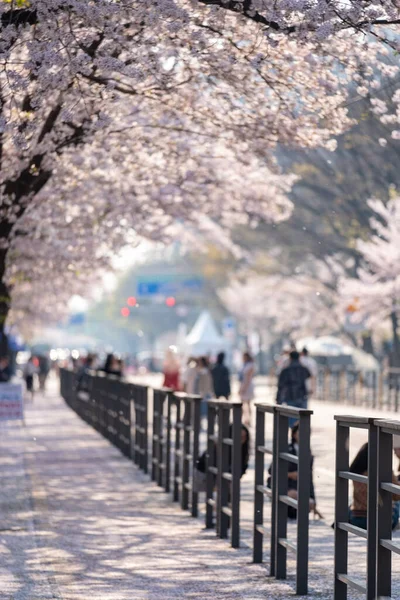 Seoul South Korea April 2023 People Walking Street Yeongdeungpo Yeouido — Stock Photo, Image