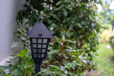 Arka bahçede alçak seviye direk ışığı.