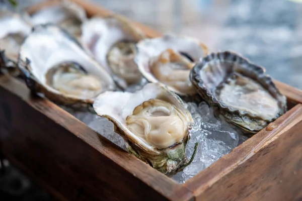 Oyster Served Ice Table — Stock Photo, Image