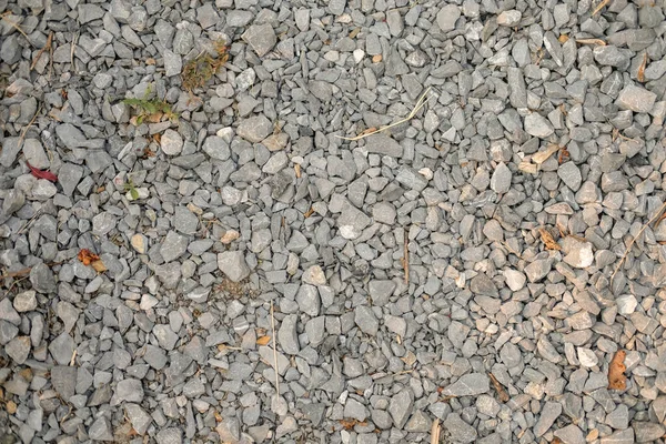 Gravel Dry Leaves Texture Background — Stock Photo, Image