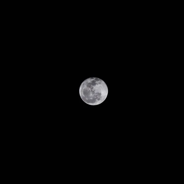 Presque Pleine Lune Sur Ciel Noir Avec Espace Copie — Photo