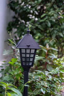 Arka bahçede alçak seviye direk ışığı.