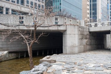 Seul, Güney Kore - 18 Şubat 2023: Seul 'de modern bir kamusal alan olan Cheonggyecheon deresinin manzarası