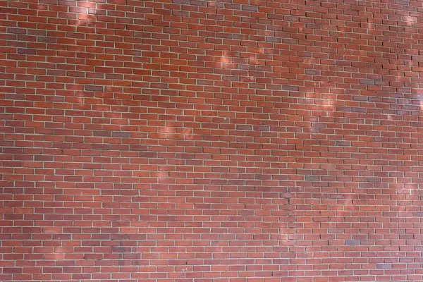 Texture Murale Brique Rouge Arrière Plan Avec Lumière Ombre Arbre — Photo