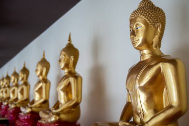 Buda heykeli Wat Sothon Wararam Worawihan koridorunda sıra sıra, Tayland 'ın Chachoengsao bölgesindeki kamu tapınağı.