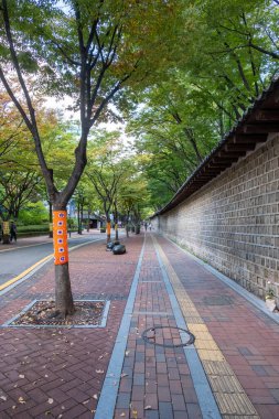 Seul, Güney Kore - 10 Ekim 2022: Deoksugung Stonewall Walkway, Güney Kore, Seul 'deki Deoksugung Sarayı' nın yanındaki yaya yolu.