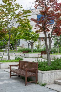 Seul, Güney Kore - 16 Temmuz 2022: Özel bir araştırma üniversitesi olan Yonsei Üniversitesi bahçesinde oturma