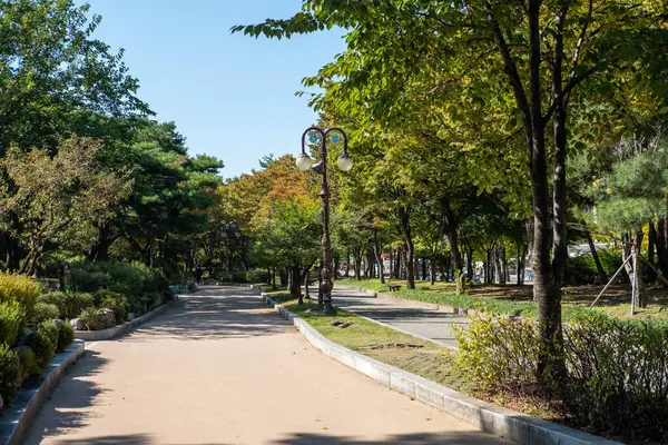 12 Ekim 2022 - Seul, Güney Kore: Sonbaharda Yeouido Park manzaralı, renkli yapraklı yürüyüş yolu.