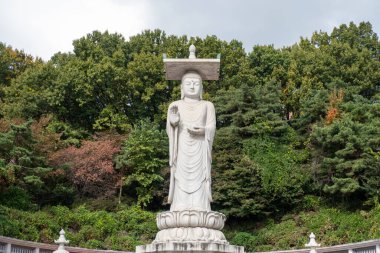 Seul 'deki bir Budist tapınağı olan Bongeunsa Tapınağı' ndaki Bodhisattva Maitreya heykelinin Mireuk Daebul heykeli. Sonbahar yapraklarının arka planında. Kore 'deki en uzun taş heykel..