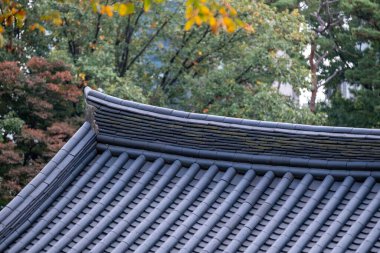 Kore tarzı geleneksel çatı manzarası