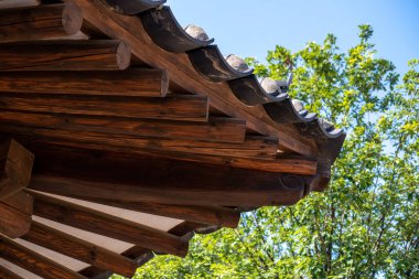 Arka planda yeşillik olan geleneksel Kore tarzı çatının yakın çekimi