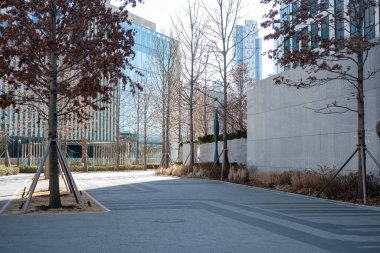 Sonbaharda ağaçların ve kamu binalarının manzarası