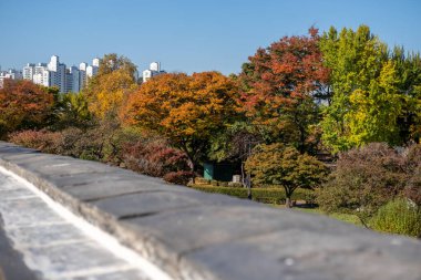 Suwon Hwaseong Kale Duvarı, sonbaharda park manzaralı. Duvar Güney Kore 'nin Gyeonggi-do eyaletinin başkenti Suwon' u çevrelemektedir.