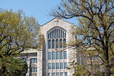 Seul, Güney Kore - 3 Nisan 2023: İlkbaharda Ewha Kadın Üniversitesi. Özel bir kadın üniversitesi.
