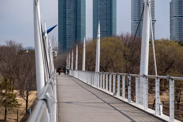 Passerella Sul Ponte Con Paesaggio Invernale Nella Foresta Seoul Corea — Foto Stock