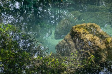 Şeffaf yeşil ve mavi dereler ağaç kökleri ve kayalar suyun altında. Thapom Klong Song Nam, Krabi, Tayland