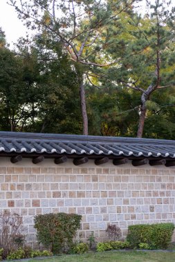 Deoksugung Stonewall Yürüyüşü güzel sonbahar yapraklarıyla. Güney Kore, Seul 'deki Deoksugung Sarayı' nın yanındaki yaya yolu.